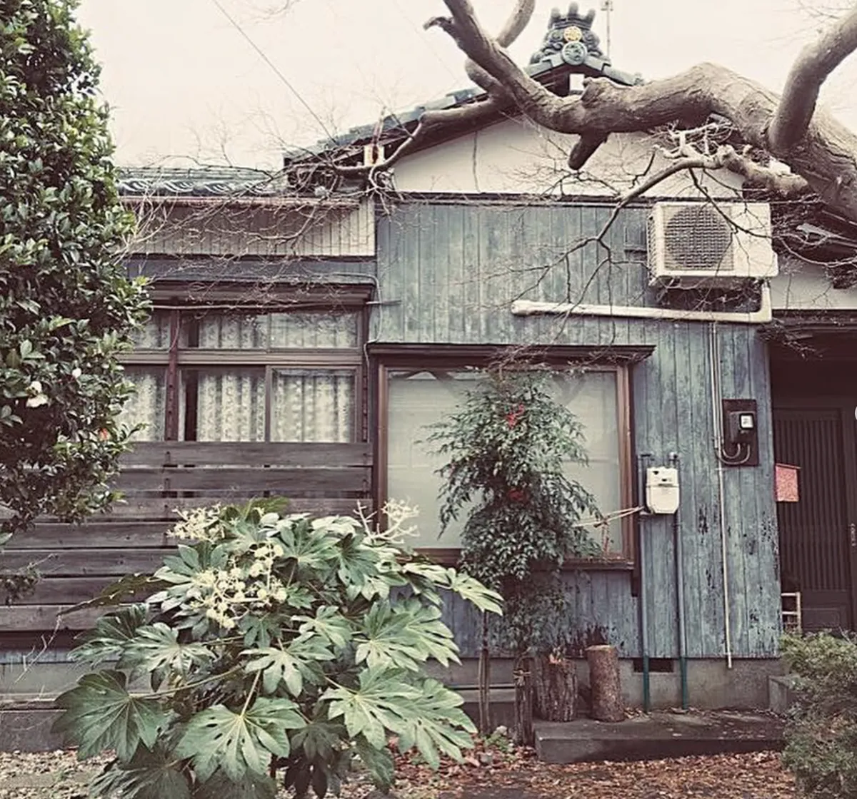 改装がはじまる前の姿