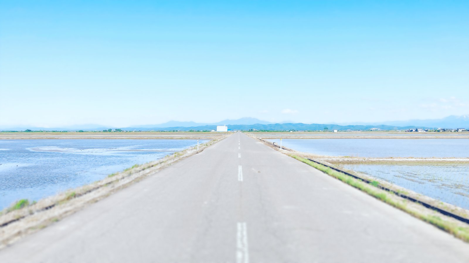 NEMARU ほんとぐらし 外觀