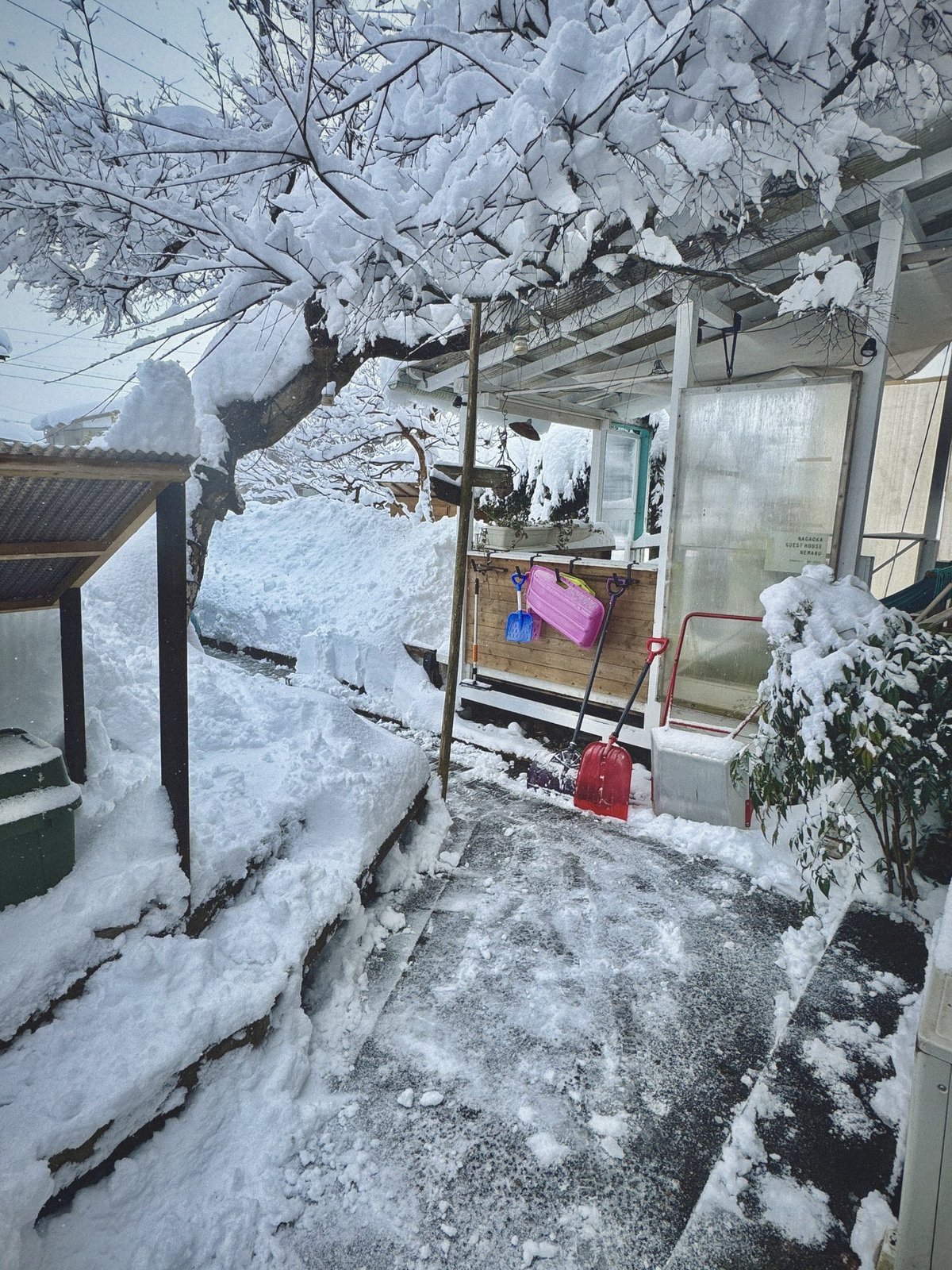 軒先のつらら ― 冬のNEMARU